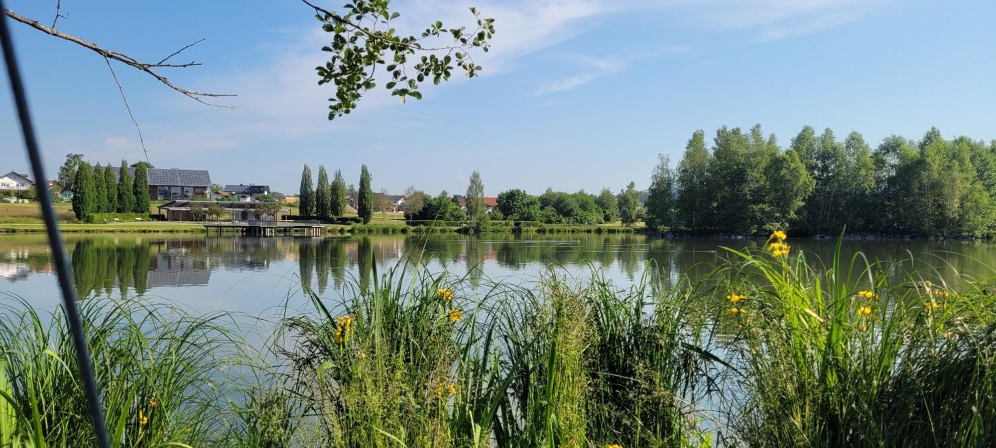 Ferienwohnung Bayerwaldblick Jandelsbrunn Exteriér fotografie