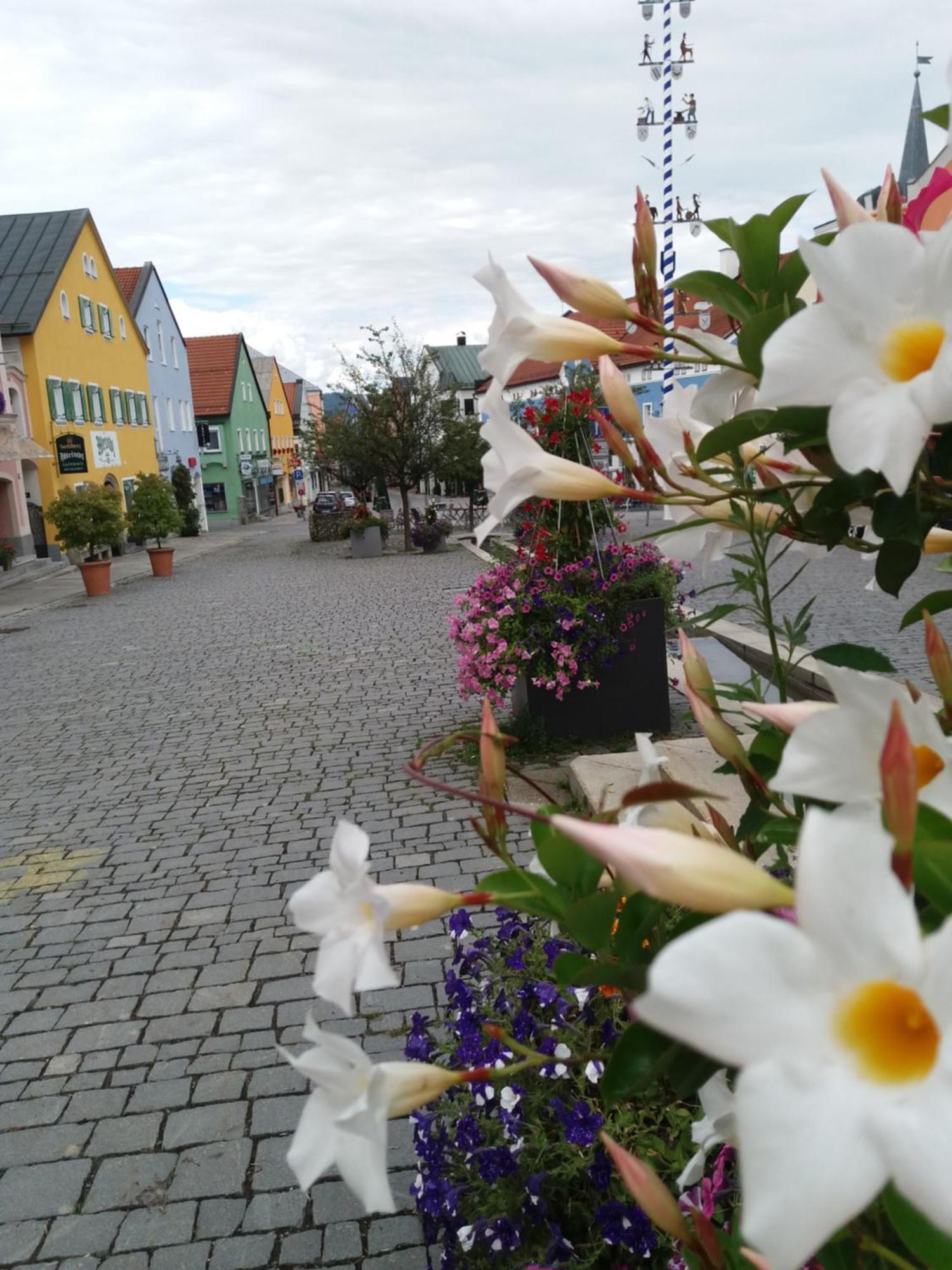 Ferienwohnung Bayerwaldblick Jandelsbrunn Exteriér fotografie