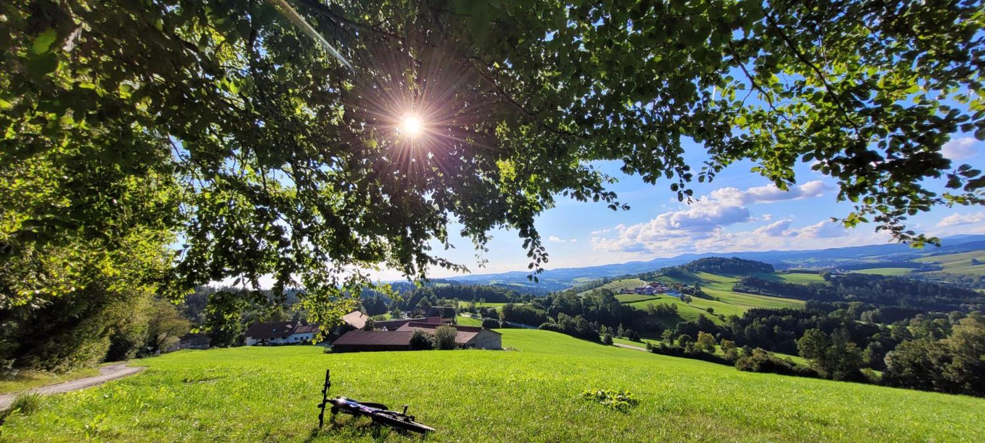 Ferienwohnung Bayerwaldblick Jandelsbrunn Exteriér fotografie