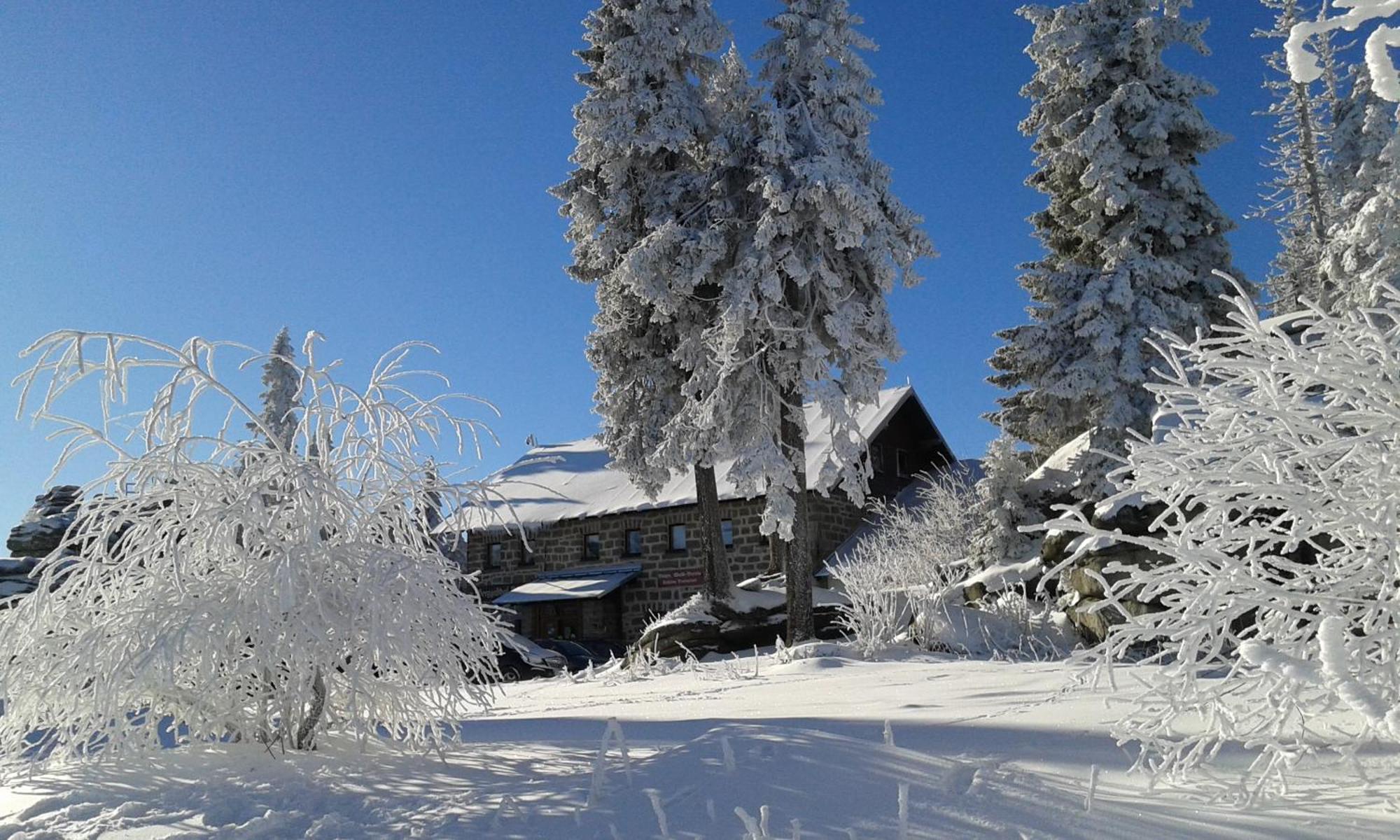 Ferienwohnung Bayerwaldblick Jandelsbrunn Exteriér fotografie