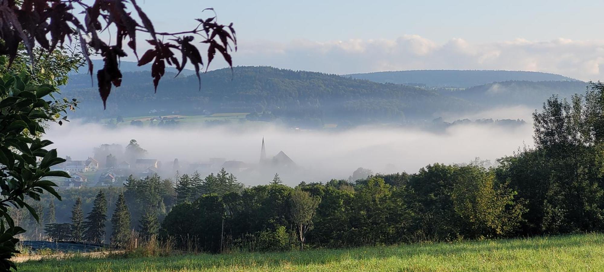 Ferienwohnung Bayerwaldblick Jandelsbrunn Exteriér fotografie